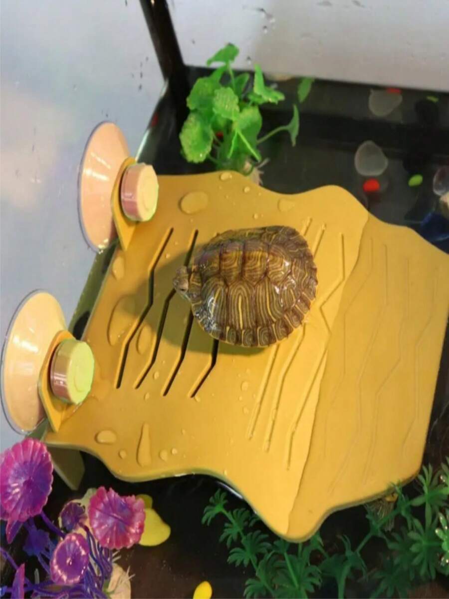1入組高級烏龜曬棚，可浮游的爬行動物停泊處，帶吸盤可曬太陽和在水中休息 - 紫色 - 查看 1