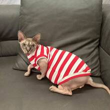 One Red, Skin-Friendly Soft Sleeveless T-Shirt Jacket Sphynx Cat Devon Rex Cat Home Clothes For Indoor And Outdoor Use In Spring, Summer, Winter - Red - View 13