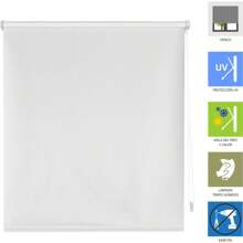 Ecommerc3 Store opaque lisse Easyfix de taille 67x180 - Store opaque SANS OUTILS de taille de tissu 64x175 - Store SANS PERÇAGE