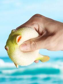逼真古代魚章魚魷魚豬魚模型玩具海洋動物海洋生物兒童拼圖早教動物模型桌面裝飾品 - 彩色 - 查看 5