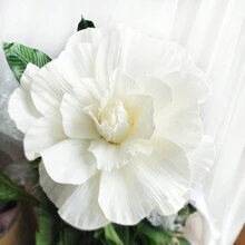 1 件人造 PE 泡沫大花，适用于婚礼仪式和活动背景装饰，大窗户