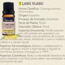 Essential Oil - Trong sáng - Xem 2