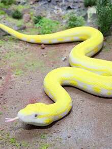 一個動物園野生逼真蛇模型，認知軟橡膠蛇玩具，竹葉青，青樹蟒，金色蟒蛇，恐怖惡作劇，兒童教育動物模型玩具家居裝飾 - 彩色 - 查看 2