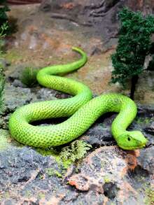 一個動物園野生逼真蛇模型，認知軟橡膠蛇玩具，竹葉青，青樹蟒，金色蟒蛇，恐怖惡作劇，兒童教育動物模型玩具家居裝飾 - 彩色 - 查看 4