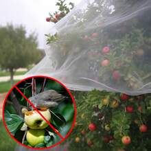 8.2x9.84英尺/6.56*9.84英尺 1件装 防紫外线网 60防护帐篷 植物作物 蔬菜 水果 花卉 花园防鸟网 花园植物罩 细网防鸟防虫网 - 白色 - 查看 4