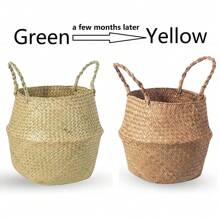 Seagrass Belly Basket, Woven Plant Pot Holder Handmade Home Decor For Storage Plants Picnic Grocery Medium