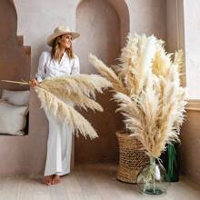 10 tallos (39pulgadas) de pasto pampa alto y esponjoso, ramo de pasto pampa alto para bodas, hogares, fiestas, decoraciones de ceremonias de oficina, San Valentín, regalo, decoración de otoño