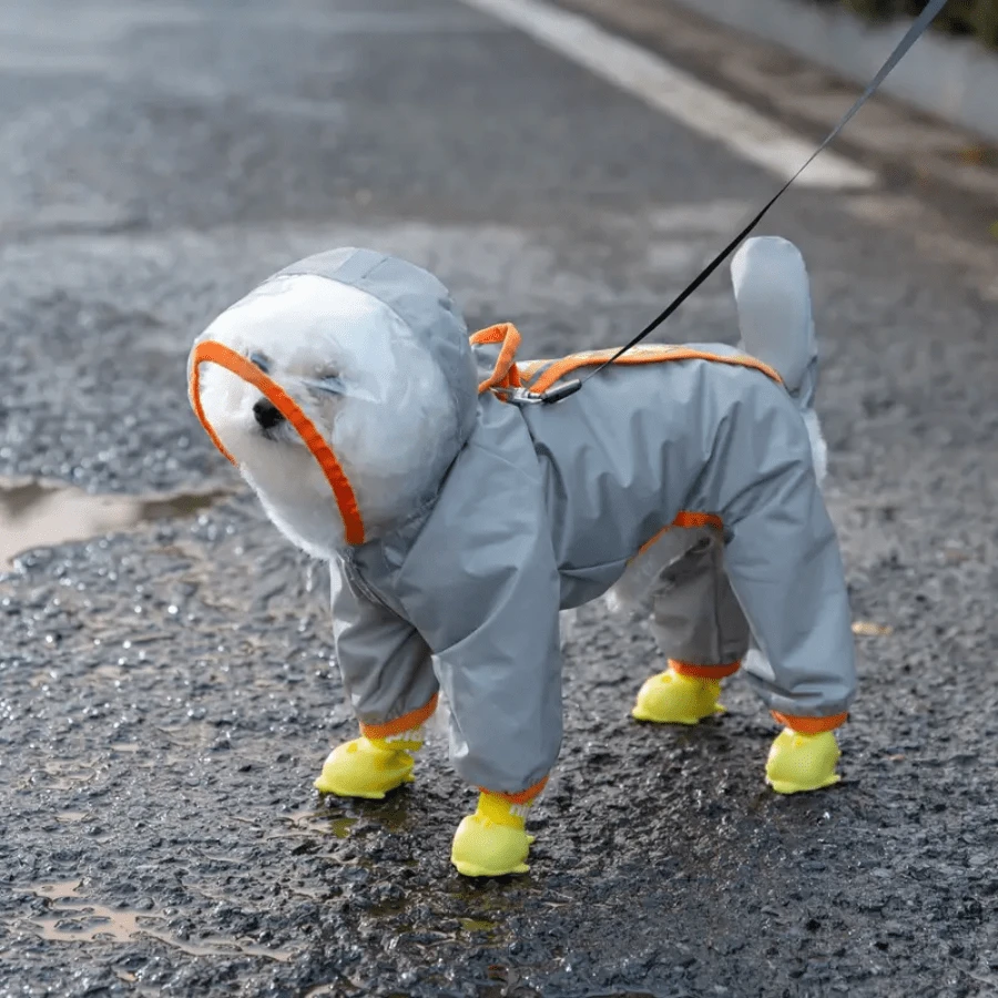 Traction Dog Raincoat Waterproof Matte Transparent With Tail Protective