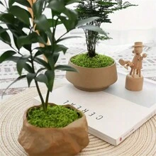 1pack DIY Artificial Moss For Home And Garden Decor - 1.05 Oz Simulation Moss Grass For Potted Plants, Terrariums, Wall Decor, Centerpieces, Fairy Gardens, Weddings, And Floral Projects