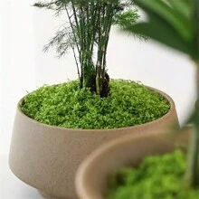 1pack DIY Artificial Moss For Home And Garden Decor - 1.05 Oz Simulation Moss Grass For Potted Plants, Terrariums, Wall Decor, Centerpieces, Fairy Gardens, Weddings, And Floral Projects