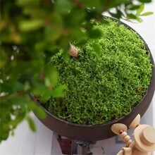 1pack DIY Artificial Moss For Home And Garden Decor - 1.05 Oz Simulation Moss Grass For Potted Plants, Terrariums, Wall Decor, Centerpieces, Fairy Gardens, Weddings, And Floral Projects