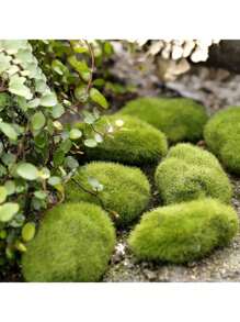 5/30pcs Simulation Moss Green Grass Micro Landscape Figures,Miniature Decoration For Mini DIY Fairy Garden Aquarium Fish TankOutdoor Decor, Valentine Day, Gift Gifts Birthday Graduation,Garden Decor,Outdoor Plant,Gardening,Fake Flowers - Green - View 5