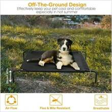Elevated Dog Cott Raised Pet Cool Sleep Bed Breathable Mesh For Large 121lbs Dog - Multicolor - View 3
