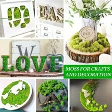 1pack DIY Artificial Moss For Home And Garden Decor - 1.05 Oz Simulation Moss Grass For Potted Plants, Terrariums, Wall Decor, Centerpieces, Fairy Gardens, Weddings, And Floral Projects