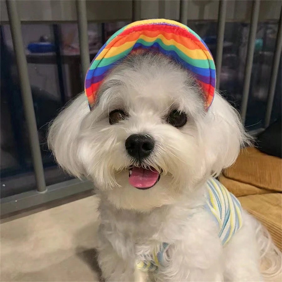 Pet Dog And Cat Sun Cap Baseball Hat Anti-UV Breathable Hat, Rainbow Cap Decorative Hat For Cat And Dog When Going Out - Multicolor - View 1