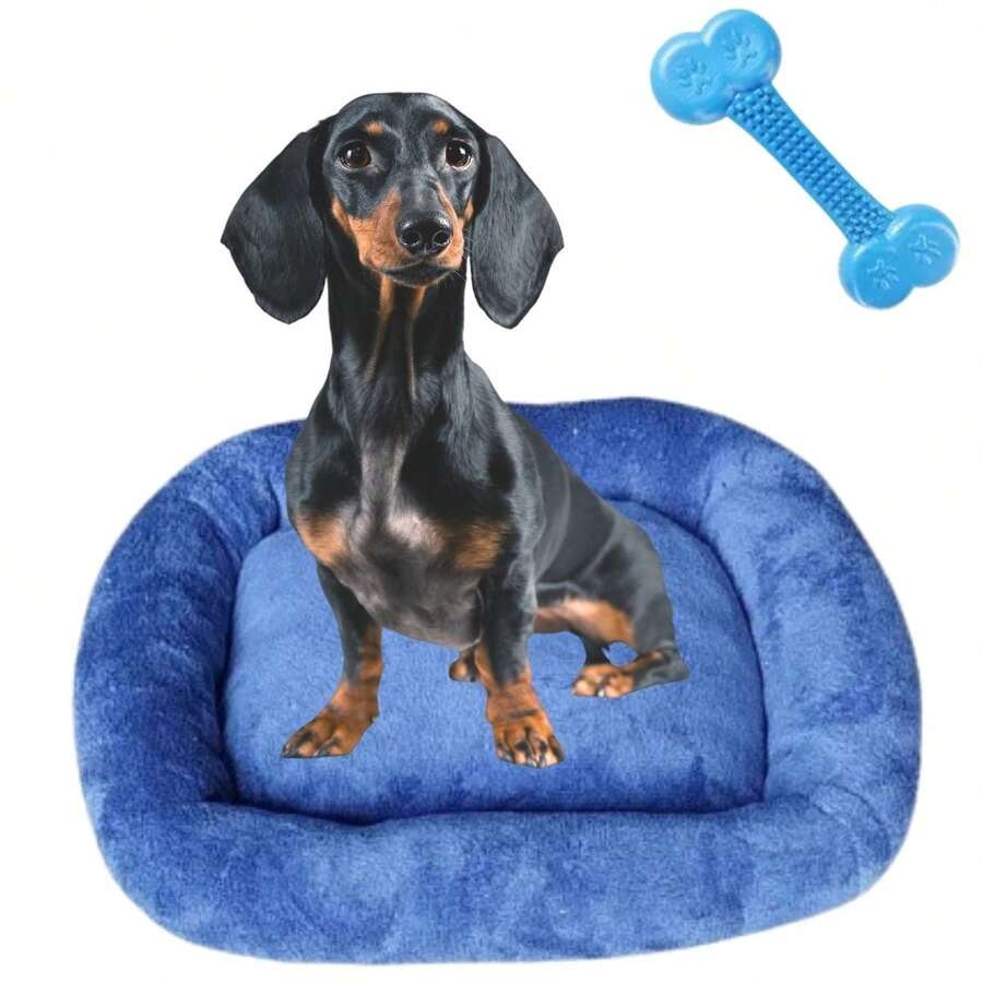 Pet Bed & Crate Mat - Màu xanh lam - Xem 1