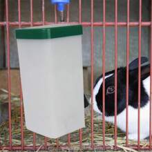 1 PC Rabbit Water Dispenser Drinker Feeder Drinking Fountain Automatic Drinking Equipment Pet Drinker Rabbit Animal Accessories - Dark Green - View 2