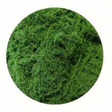 1pack DIY Artificial Moss For Home And Garden Decor - 1.05 Oz Simulation Moss Grass For Potted Plants, Terrariums, Wall Decor, Centerpieces, Fairy Gardens, Weddings, And Floral Projects