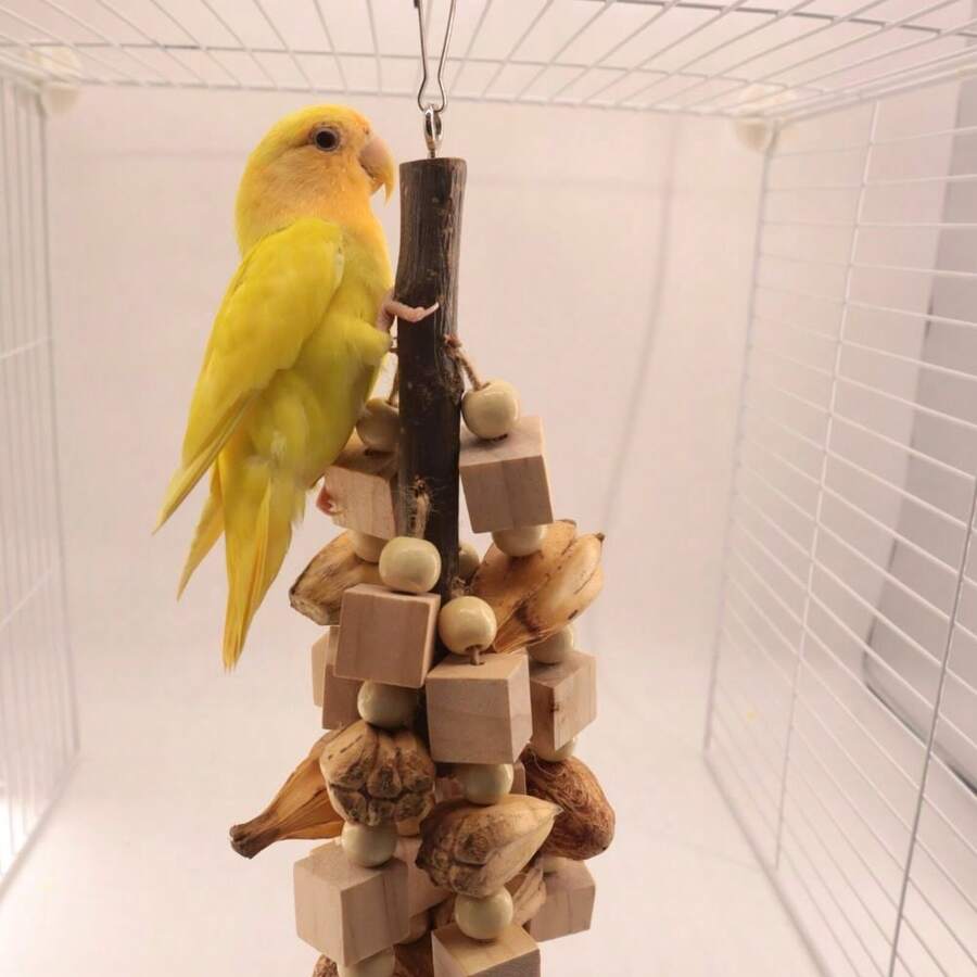 Assorted Parrot Toy Natural Wood Blocks, Mango Wood, Sandstone, For