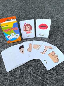 Montessori Early Education Flash Cards - Help Children Learn Body Parts And Fruit Parts, Improve Cognitive Ability, Educational Toys, Suitable For Preschool Children (Some Parts Randomly Sent). Applicable For School, Students, Stationery, Learning Supplies, Flash Cards, Montessori Education. - Multicolor - View 2