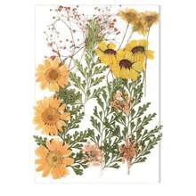 Meching Pressed Flowers Bulk Dried Flower For Crafts, Dried Flower Leave Natural With Tweezer For Resin Mold Scrapbooking DIY - Multicolor - View 12