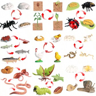 Animal Life Cycle Children Montessori Education Cockerels Ladybugs Moths Model Action Figures Set Lovely Cognitive Toys For, Christmas And