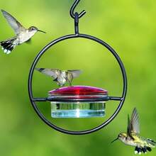 Hanging Hummingbird Feeder Metal Bottle Humming Bird Feeder - Red - View 2