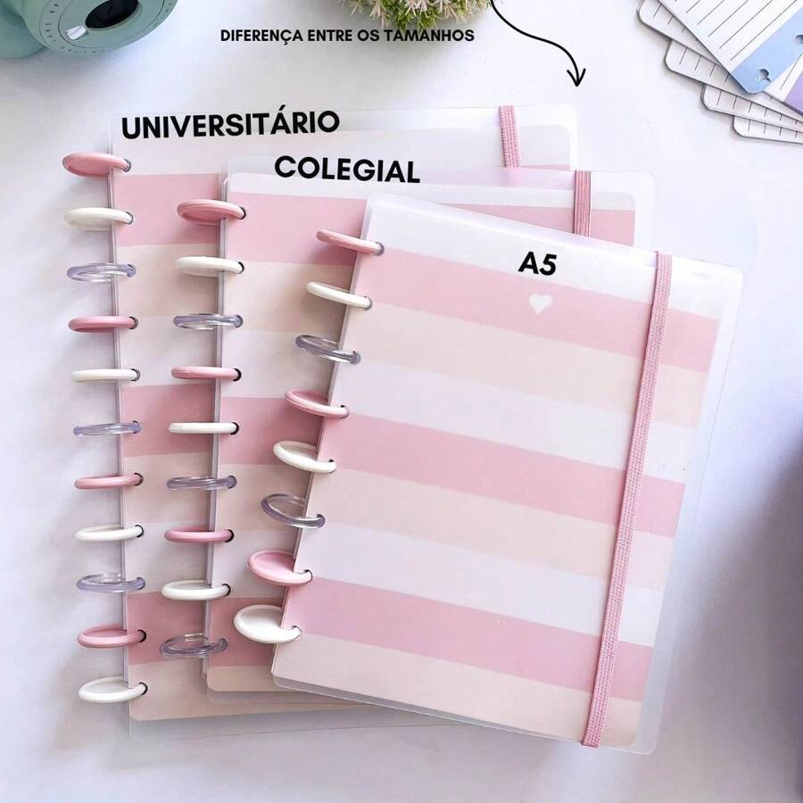 Caderno de discos inteligente Basic - Cores - Rosa listrado - Visão 1