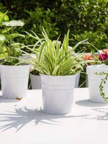 室內植物盆栽,掛花盆金屬,鐵製水桶花盆適用於欄杆、圍欄、陽台花園家居裝飾,可拆卸掛鉤,黑色