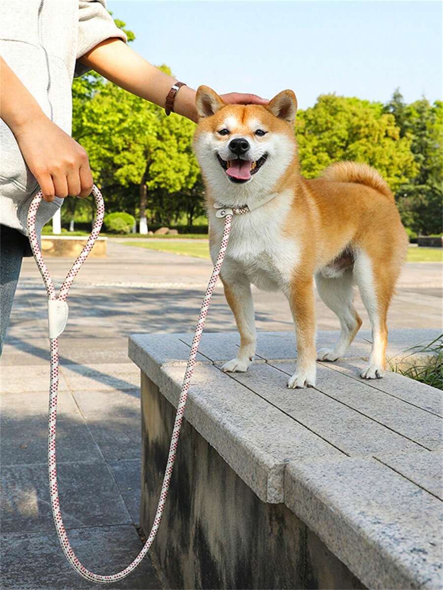 1 件装宠物牵引绳遛狗绳尼龙编织狗绳牵引训练绳防爆跑步绳 - 黑色 - 查看 1