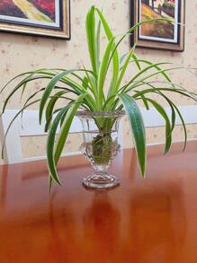 1pc High-End Roman Style Clear Glass Flower Vase With Stand, Water Culture Floral Arrangement Vase, Home Table Decoration Ornament For Festival Party - Glass Lantern Vase - View 5