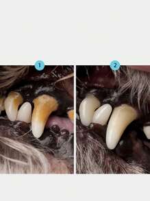 A Pet Dental Tool For Cleaning Tartar And Debris In Dogs And Cats, Pet Toothbrush For Cleaning And Removing Calculus - Silver - View 2