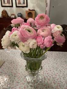 1pc High-End Roman Style Clear Glass Flower Vase With Stand, Water Culture Floral Arrangement Vase, Home Table Decoration Ornament For Festival Party - Glass Lantern Vase - View 4