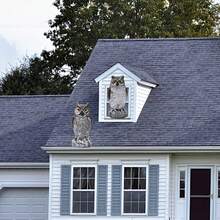 1入組人造貓頭鷹雕像，天敵稻草人塑像，防害蟲、防鳥控制和鴿子驅趕戶外庭院、花園保護器 - 酒紅色 - 查看 6