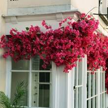 2pcs Artificial Flowers Bougainvillea Branches Faux Floral Stems Long Plant Branches For Party, Wedding Centerpieces Home Garden Wall Decoration, Valentine Day, Gift Gifts Birthday Graduation