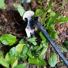 除草机，新型连根除草工具，锰钢锻造除草工具，4齿两用除草机，高强度花园手动除草工具，园艺用长柄手动除草工具，园林工具，园艺工具 - 紅色 - 查看 6