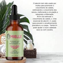 Mielle Organics Rose mary Mint Scalp & Hair Strengthening Oil 59ml pronto entregar Melle Shampoo Reforçador De Hortelã Infundido Com Limpeza E Ajuda A Fortalecer Cabelos Fracos Brilhantes 355ml pronto entregar