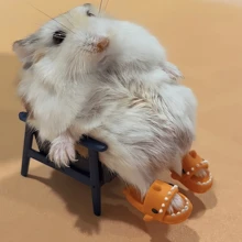1 par de lindas zapatillas de casa con diseño de hámster de dibujos animados y oso dorado, zapatillas de casa coloridas, zapatillas de tiburón en miniatura, accesorios para fotos, zapatos de muñeca