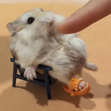 1 par de lindas zapatillas de casa con diseño de hámster de dibujos animados y oso dorado, zapatillas de casa coloridas, zapatillas de tiburón en miniatura, accesorios para fotos, zapatos de muñeca