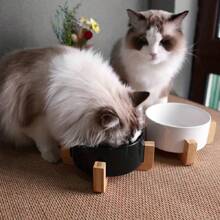 Bol en céramique double pour la nourriture des PET, antidérapant pour chats et chiens - évite les déversements et les glissades, facile à nettoyer et durable