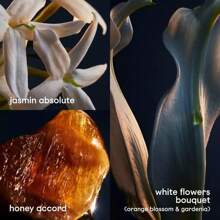 Perfumes - transparente - Ver 4