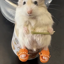 1雙可愛的動物卡通拖鞋,帶仓鼠和泰迪熊擺件,適用於家居使用、攝影道具和娃娃鞋