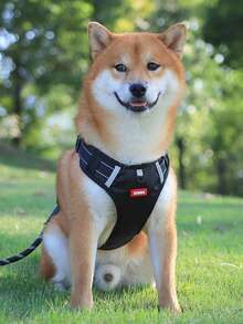 HOLAPET 1 Máy Tính Kích Thước Trung Bình-Lớn Dây Đai Thú Cưng Chống Nổ Phản Quang Ngực Và Dây Đeo Sau Cho Chó - trái cam - Xem 4