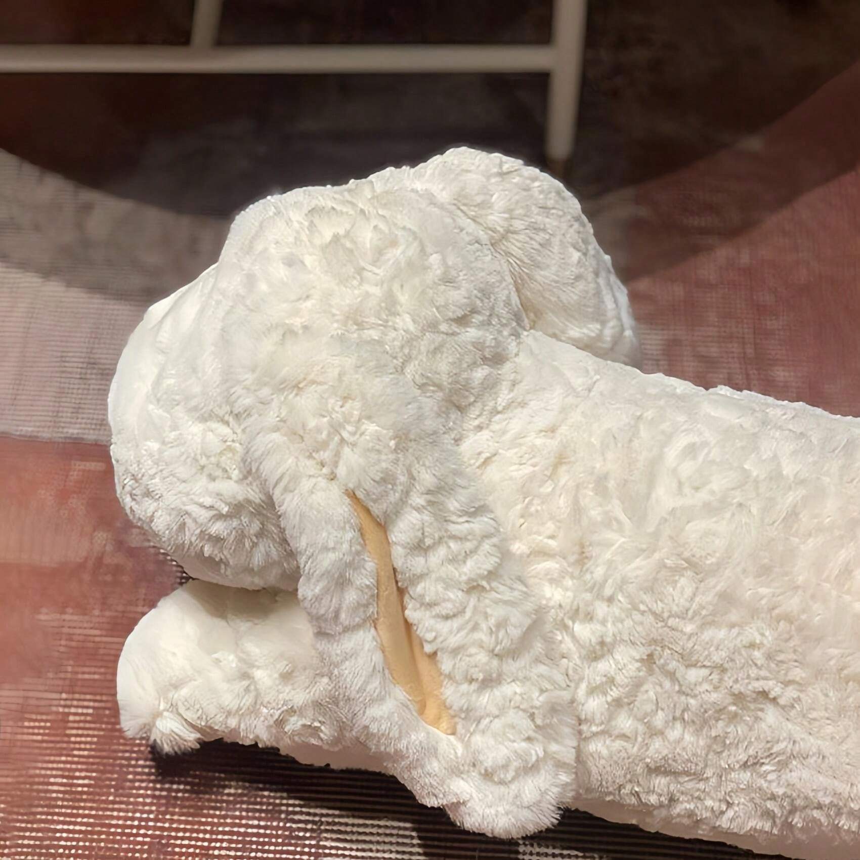 Flanhorest Körperkissen Mit Memory Foam - Verstellbar Für Seitenschläfer