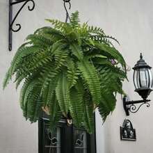 18/28/39 Piezas de helechos, plantas verdes de helechos, plantas artificiales, helechos artificiales, helechos falsos realistas con protección UV, para decoración del hogar en ventanas, porches y decoración de eventos y fiestas en oficinas - Verde - Ver 1