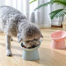 Raised Cat/Dog Bowls, Protect Pets' Necks, Slanted Design For Easy Eating & Drinking - Multicolor - View 2