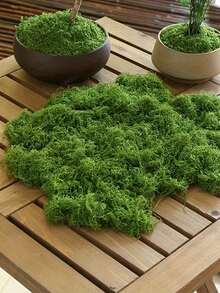 25克綠色人造苔蘚串適用於花園裝飾、景觀、水族館裝飾裝飾，室內或室外使用，多種形狀可塑造。 - 絲狀苔蘚 - 查看 5