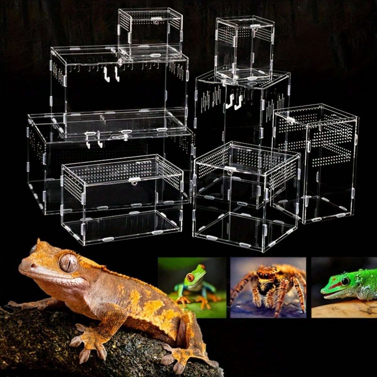 DIY Refugio de reptiles - Recinto de cría de acrílico cristalino ...