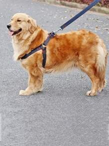 牛仔狗牽引繩與胸衣和項圈套裝，背心式狗繩套裝，適用於小型、中型、大型狗的強力牽引繩 - 藍色 - 查看 6