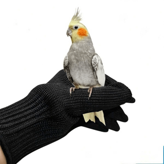 Guantes anti-mordeduras para loros, guantes de entrenamiento para manejo de aves mascotas con alambre de acero para accesorios de aves como periquitos y cotorras sol